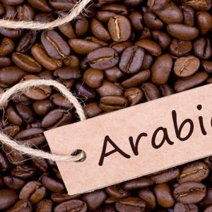 cafe arabiga