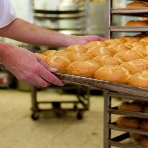 industria panadera