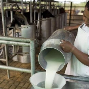 productores de leche liconsa