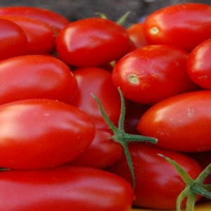 industria tomatera